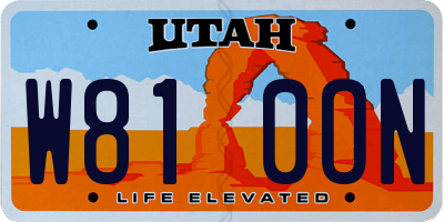 UT license plate W810ON