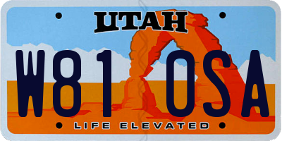 UT license plate W810SA