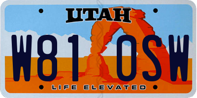 UT license plate W810SW