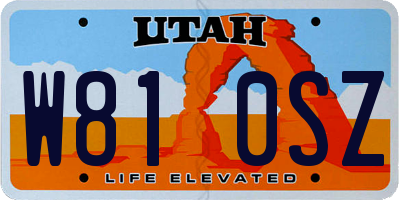 UT license plate W810SZ