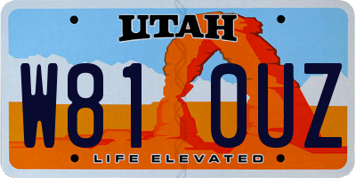 UT license plate W810UZ