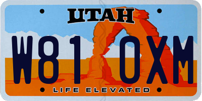 UT license plate W810XM