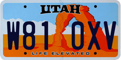 UT license plate W810XV