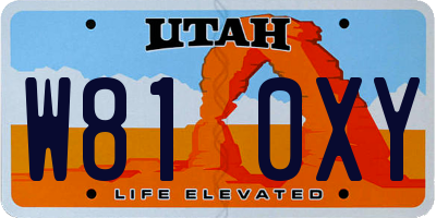 UT license plate W810XY