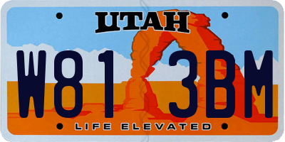 UT license plate W813BM