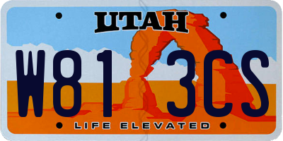 UT license plate W813CS