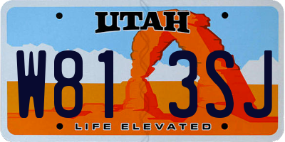 UT license plate W813SJ