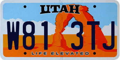 UT license plate W813TJ