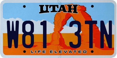 UT license plate W813TN