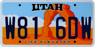 UT license plate W816DW
