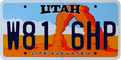 UT license plate W816HP
