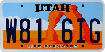 UT license plate W816IG