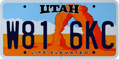 UT license plate W816KC