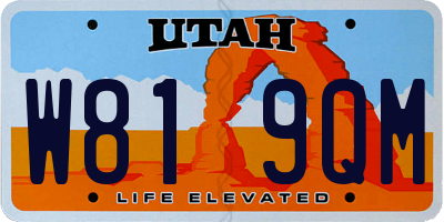 UT license plate W819QM