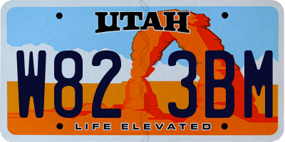 UT license plate W823BM