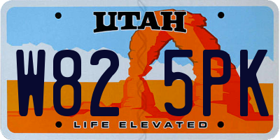 UT license plate W825PK