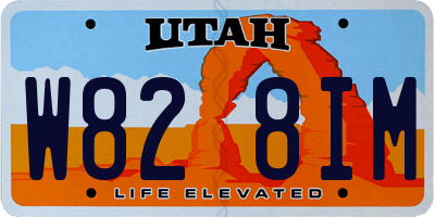 UT license plate W828IM