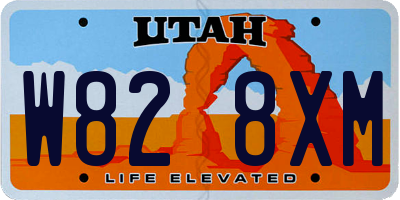 UT license plate W828XM