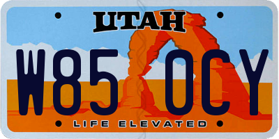 UT license plate W850CY