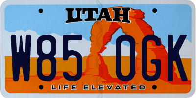 UT license plate W850GK