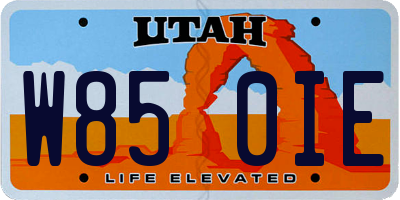 UT license plate W850IE