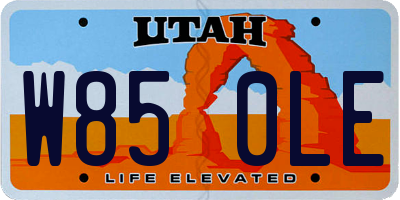 UT license plate W850LE