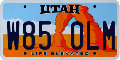 UT license plate W850LM