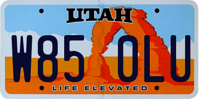 UT license plate W850LU