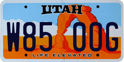 UT license plate W850OG
