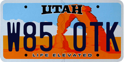 UT license plate W850TK