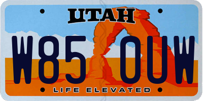UT license plate W850UW