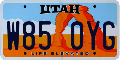 UT license plate W850YG