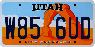 UT license plate W856UD