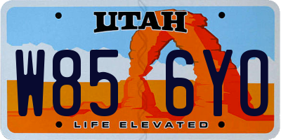 UT license plate W856YO