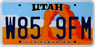 UT license plate W859FM