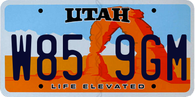 UT license plate W859GM