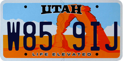 UT license plate W859IJ