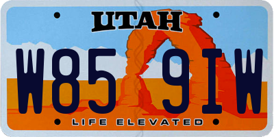 UT license plate W859IW
