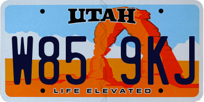 UT license plate W859KJ