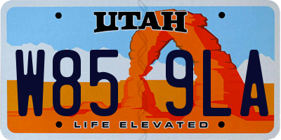 UT license plate W859LA