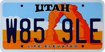 UT license plate W859LE