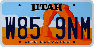 UT license plate W859NM