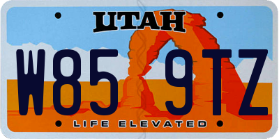 UT license plate W859TZ