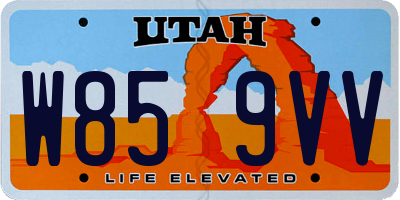 UT license plate W859VV