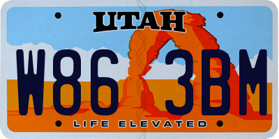 UT license plate W863BM