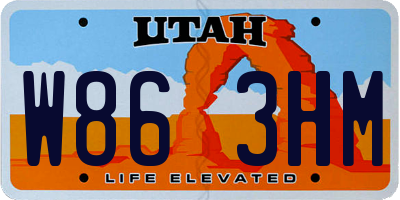 UT license plate W863HM