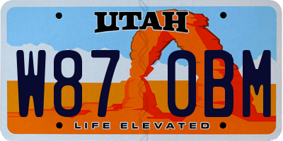 UT license plate W870BM