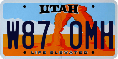 UT license plate W870MH