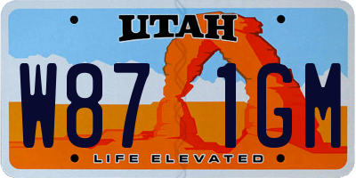 UT license plate W871GM