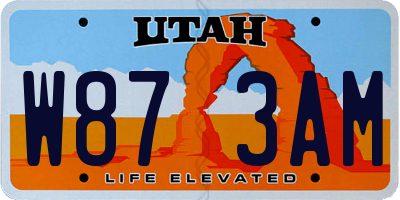 UT license plate W873AM